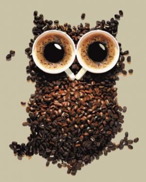 Coffee Beans Owl Paint By Numbers