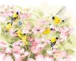 Yellow Birds Paint By Numbers