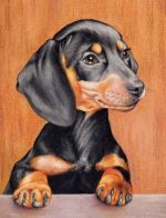 Dachshund Dog Paint By Numbers