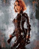 Black Widow Paint By Numbers