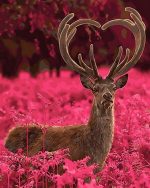 Deer In Pink Field Paint By Numbers