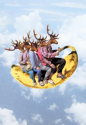 Deer on Banana Paint By Numbers