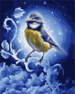Blue Tit Bird Paint By Numbers