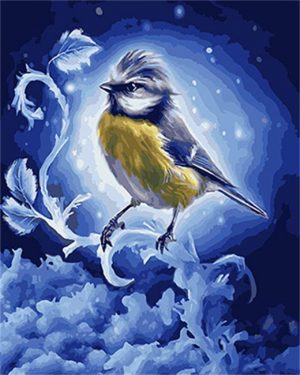 Blue Tit Bird Paint By Numbers