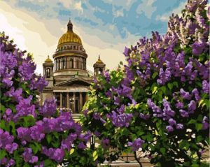 Saint Petersburg Russia Paint By Numbers