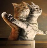 Cats Titanic Scene Paint By Numbers