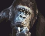 Gorilla Animal Paint By Numbers