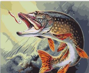 Trout Fish Paint By Numbers