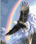 Flying Eagle under Rainbow Paint By Numbers