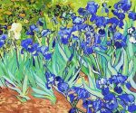 Vincent Van Gogh Irises Paint By Numbers