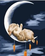 Rabbits On Moon Paint By Numbers