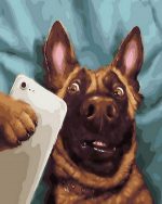 Dog Taking Selfie Paint By Numbers