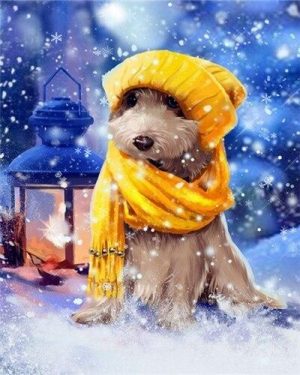 Dog In Winter Clothes Paint By Numbers