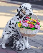 Dog With Flowers Basket Paint By Numbers