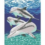 Dolphins Underwater Paint By Numbers