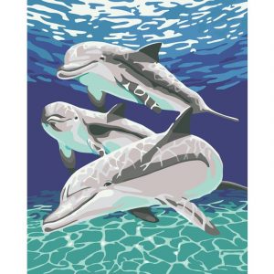 Dolphins Underwater Paint By Numbers