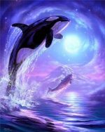 Orca Moon Paint By Numbers