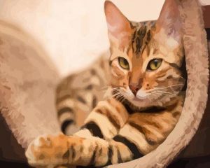 Domestic Cat Paint By Numbers