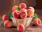 Peach Basket Paint By Numbers
