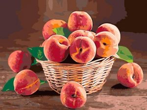 Peach Basket Paint By Numbers