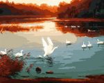 Swans In Pond paint by numbers