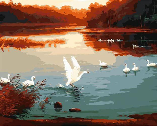 Swans In Pond Paint By Numbers