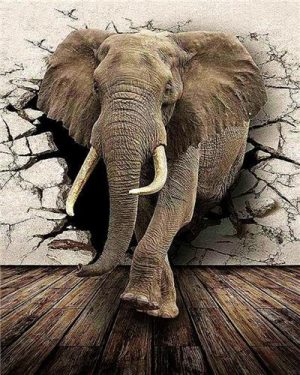 Elephant Breaking Wall Paint By Numbers