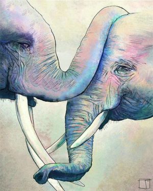 Elephants Greeting Animals Paint By Numbers