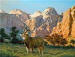 Elk In The Sawtooths Animals Paint By Numbers