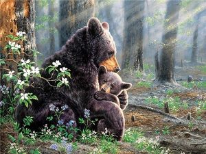 Bear And Cub Paint By Numbers