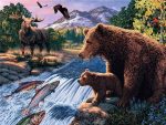Bear Wildlife Paint By Numbers