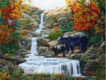 Black Bears Falls Paint By Numbers
