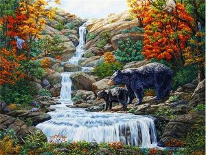 Black Bears Falls Paint By Numbers