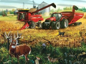 Harvest Scene Paint By Numbers