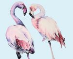 Flamingo Birds Paint By Numbers