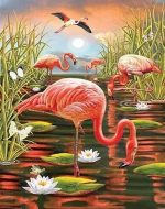 Flamingo in Swamp Birds Paint By Numbers