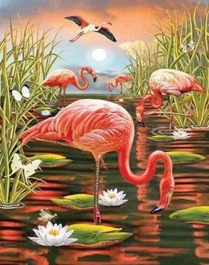 Flamingo in Swamp Birds Paint By Numbers