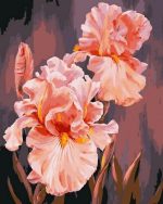 Pink Irises Paint By Numbers