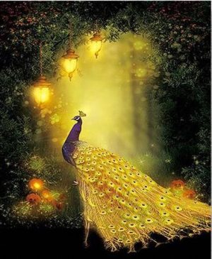 Gold Peacock Paint By Numbers