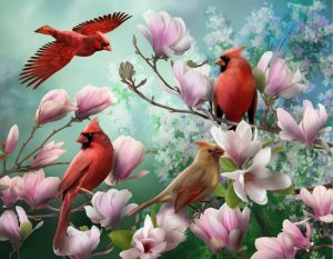 Cardinal Birds On Flowers Paint By Numbers