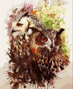 Splatter Owls Paint By Numbers