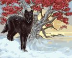 Black Wolf Paint By Numbers
