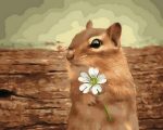 Squirrel With Flower Paint By Numbers