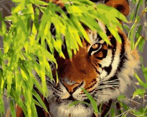 Tiger Hiding in leaves  Animals Paint By Numbers