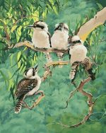 Kookaburra Birds Paint By Numbers