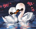 Baby Swans Paint By Numbers