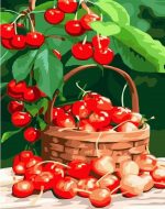 Red Cherries Basket Paint By Numbers