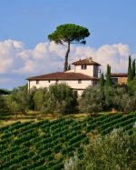 Tuscany Farm Paint By Numbers