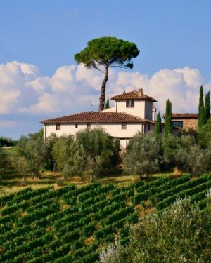 Tuscany Farm Paint By Numbers