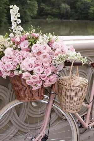 Pink Roses Basket In Bike Paint By Numbers